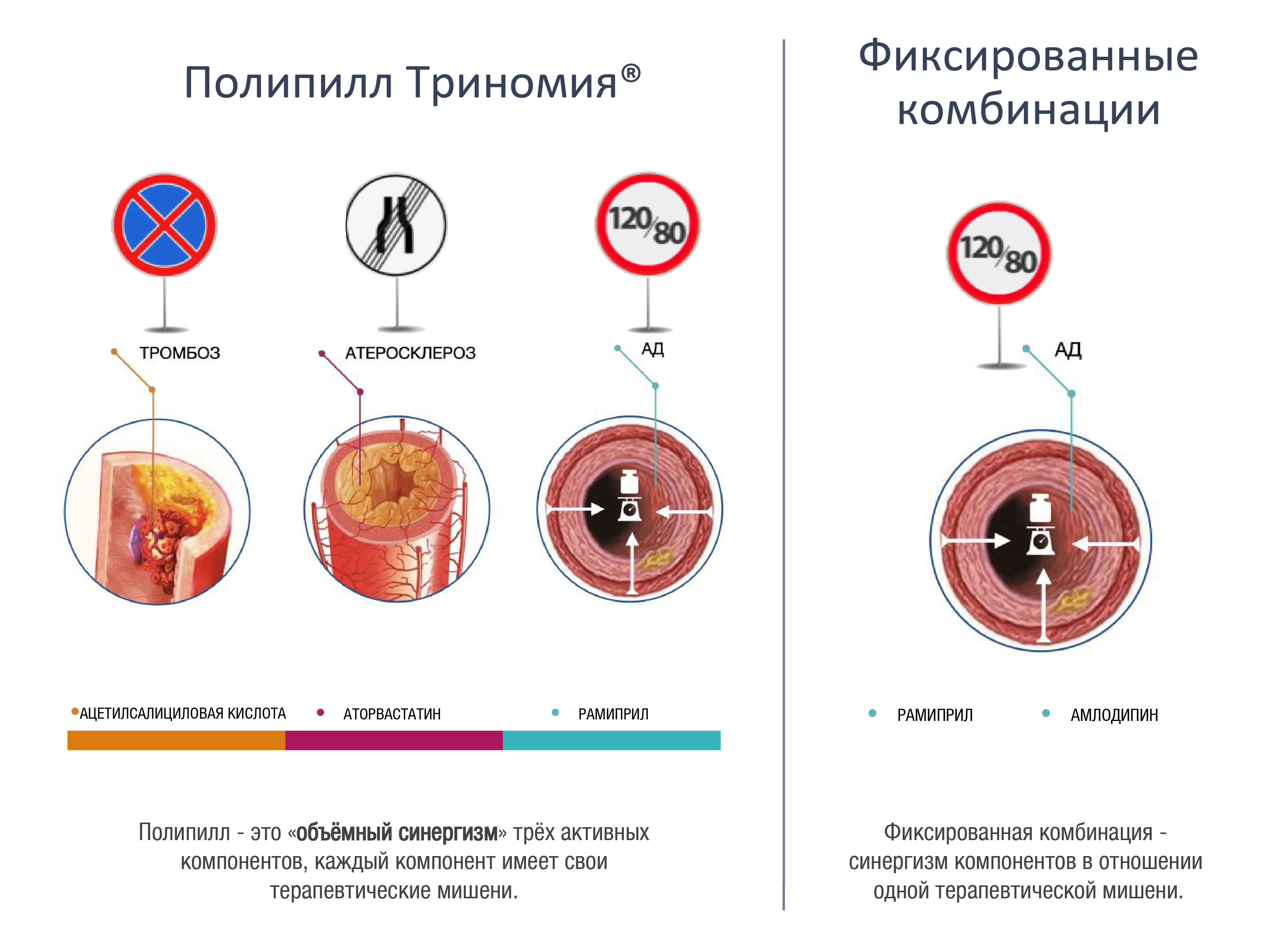 Тест 24 8.3 сосуды